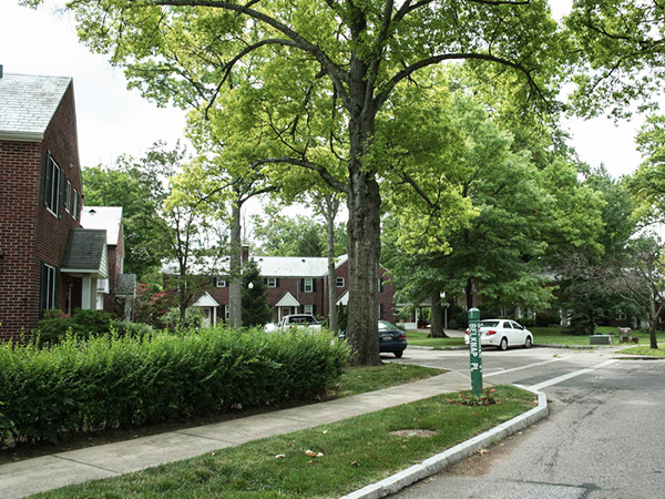 auto glass greenhills oh