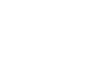 audi windshield replacement