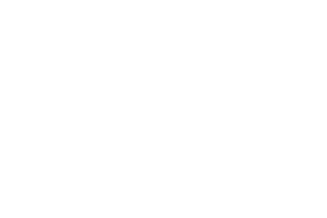 porsche windshield replacement