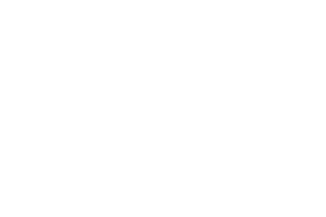 Tesla Windshield Replacement