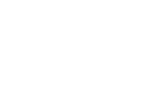 toyota windshield replacement
