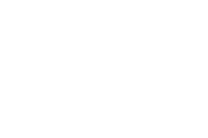 volkswagen windshield replacement